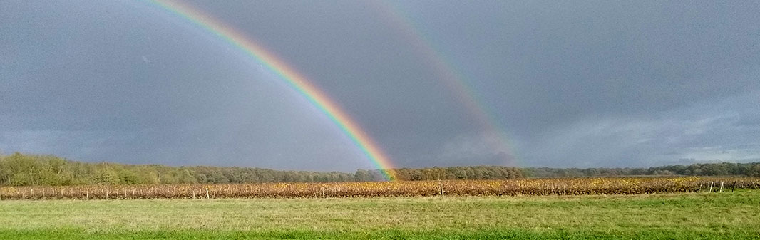 Arc en ciel sur les vignes du domaine de Rabelais